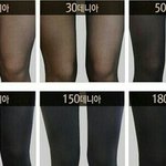 [19] 검스의 <b>데니</b>아에 따른 분류