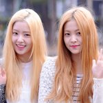 일어나자 마자 출근하는 예리????????