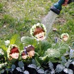 [카이] 인어들 나 <b>이</b>짤 왜이렇게 웃기지ㅋㅋ