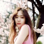 [크리스탈] 컨셉<b>깡패</b> 뎡슈뎡