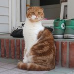 사람들이 나보구 자꾸 <b>알파카</b> 닮았대요..