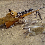 [바우바우] [바우바우]강아지 분양시 주의사항 <b>no</b>.1