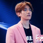 [백현] 콜베의상 <b>분홍</b>이도 있네