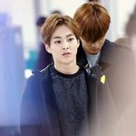 [EXO] 고1되니까 왜 특반이 좋은지 알겠더라