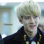 [EXO] <b>니</b>네 농어촌전형의 <b>실체</b>를 모르는구나