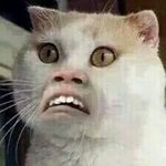 [EXO] <b>돔투어</b> 할때 생중계 해줄사람 있긴 하려나