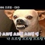 [EXO] 정규앨범은 <b>무슨</b>