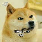 [EXO] 진심 <b>억울</b>하겠네 우리..ㅋ