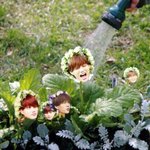 [EXO] 우리나라 <b>영어</b> 막말로 버리는패아니냐