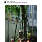 [베클] 포샵해 드립니다 근황