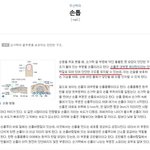[댓글부탁해] 네일아트 2회필기시험문제