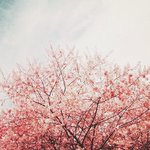 [댓글부탁해] 현장학습 코엑스