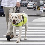 [검객] 버클리 <b>음대</b>의 시각장애인 교수