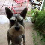 [EXO] 여기 <b>대낮</b>에도 이래??