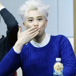 머리에 무슨 짓을 해도 성공하는 피오