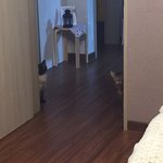 [고양이] 개그냥이들의 빵터지는 사진이 왔어요