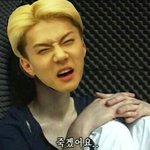 [EXO] 인중털 뽑으면