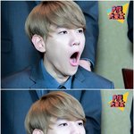 [EXO] 백현이보면 태연이 생각나 ㅠㅠㅠㅠ