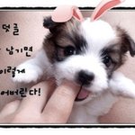 졸귀 <b>내요</b>ㅇ ㄱㄱ