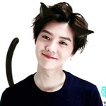 [루한] <b>허니</b>들 이거 언제야?