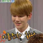 [EXO] ㅇㄱㄹㅇ