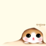 ㅋㅋ난 짤<b>도사</b>