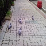 [EXO] 레이펜페에서 올린글인데 ㅋㅋㅋ