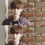 [EXO] 얼굴은 안바라고 이런분위기나는 사람없냐ㅠㅠ