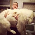 키우면 든든할 듯한 대형<b>견들</b>