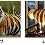 [EXO] <b>키보드</b>워리어 됴줌의 오프 온라인비교