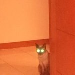 [꼭댓글부탁] <b>제눈</b>이상해여??(약혐..)