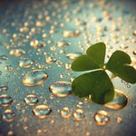 [모든팬덤] +추가) 비오는날 들으면 좋은 아이돌 노래 (개취주의)