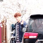 [EXO] 작은 새 같은 소년을 만났다