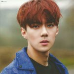 [EXO] 애들 <b>스캔</b>본사진 올라옴