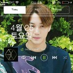 [EXO] 이거 뭐임?