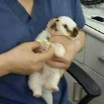 [EXO] 맨날 내가 콜<b>미</b>벱들으면서 따라불렀는데