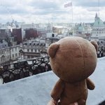[카이] 곰인이의 티져<b>속</b>으로...