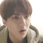 [EXO] 중국<b>멤버</b> 좋다할땐 언제고 <b>배척</b>하냐;