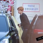 [백현] 백현이 인가출근