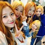 [모든팬덤] 야 진짜 신인여돌들한테 너무한거아니냐 ㅋㅋㅋㅋㅋㅋ