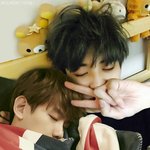 [EXO] <b>마마때</b> 팬질시작하니 찬백카디가 최고야
