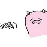 다들여름옷몇개씩있어?