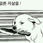 [EXO] 판도 이제 씹뉴<b>비년</b>들 천지네 씨발