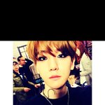 [EXO] 제발 이거 추반이라도 ++<b>추가</b>
