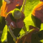 [EXO] 엑<b>쏘</b>엑쏘 품에안아 엑<b>쏘</b>엑쏘