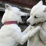 [EXO] 여기 미친거냐 여기서 <b>여아</b>돌들 언급ㄴㄴ