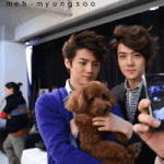 [EXO] 너와나는 너와나는!