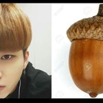 [인피니트] <b>우현</b>이 머리는 도토리 머리 
