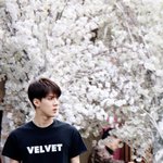[EXO] 이사진보면서 <b>굿</b>썸들으면 