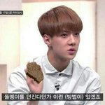 [EXO] 타둘기 <b>쉴드</b>치는 애들 안쓰럽다